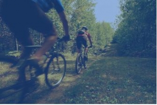  ¡Descubre Sila con nosotros!